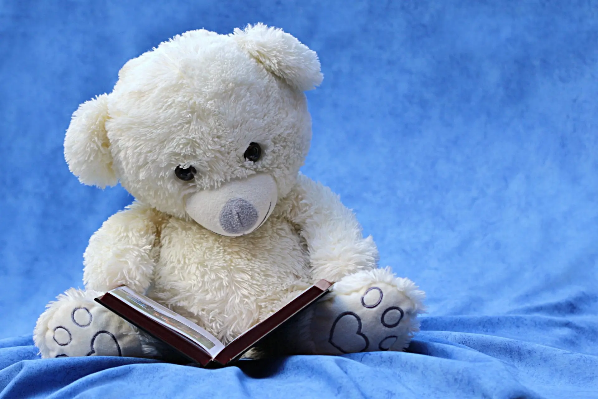 Un ours en peluche lisant un livre